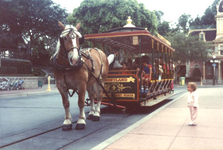 Disneyland near Los Angeles