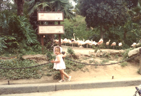 San Diego Zoo